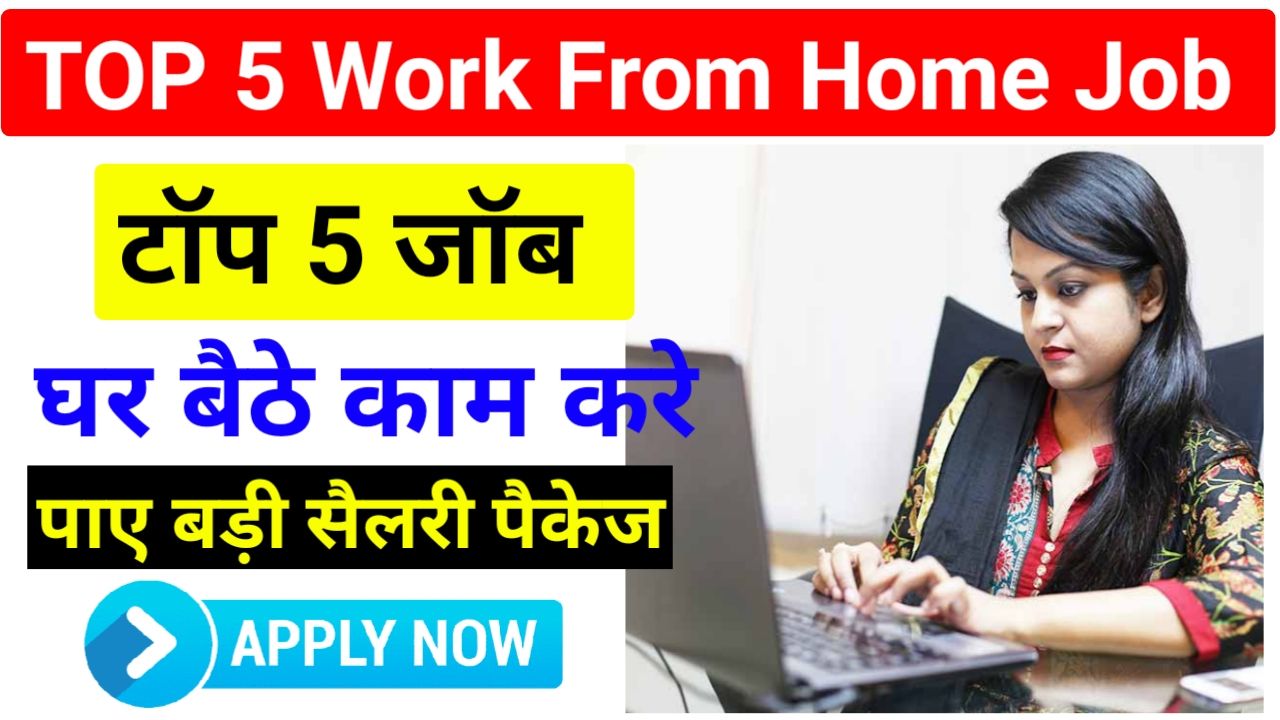 Top 5 Work From Home Job : घर बैठे करें 5 कम मिलेंगे मोटी सैलेरी यहां देखें आपके लिए कौन सी नौकरी है Best